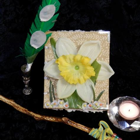 The seasonal wonders of Daffodil Spell 7: From spring blossoms to winter serenity.